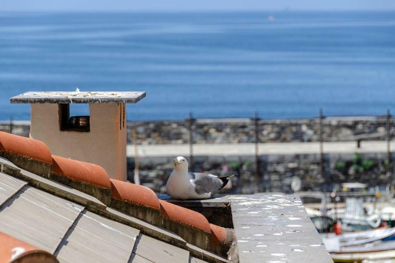 Apartamento Joivy Charm 1 Bed Apt Overlooking Port Of Camogli Exterior foto