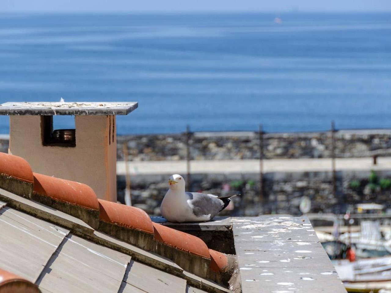 Apartamento Joivy Charm 1 Bed Apt Overlooking Port Of Camogli Exterior foto